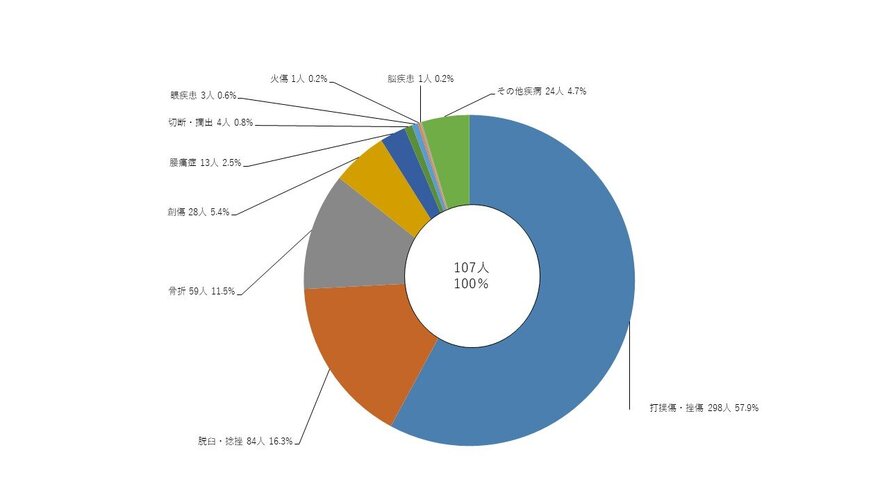 図5 演習訓練時における負傷者等の傷病名別人数